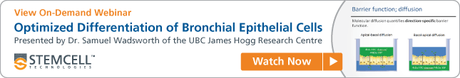 View On-Demand Webinar: Optimized Differentiation of Bronchial Epithelial Cells